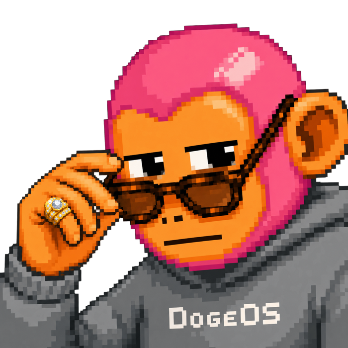 MONKO with pink hair in sunglasses and a DogeOS hoodie